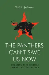 The Panthers Can't Save Us Now: Debating Left Politics and Black Lives Matter