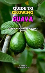 Guide to Growing Guava: Learn how to grow great guava