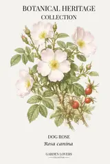 Dog Rose: A Botanical Heritage Collection Notebook Featuring Rosa canina