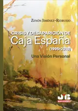 Crisis y Desaparición de Caja España (1995-2018): Una Visión Personal (Spanish Edition)