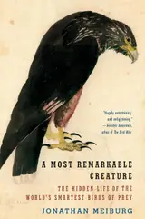 A Most Remarkable Creature: The Hidden Life of the World's Smartest Birds of Prey baixar o livro de graça