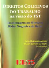 Direitos Coletivos do Trabalho. Na Visão do TST baixar o livro de graça